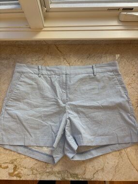 Loft Classic Blue Stripe Women's Shorts